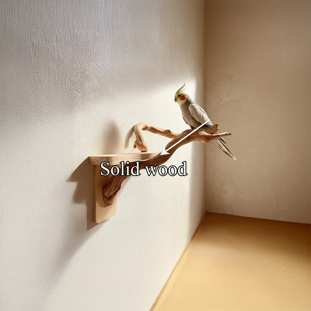 Organic Modern Wall Mounted Bird Perch For Home