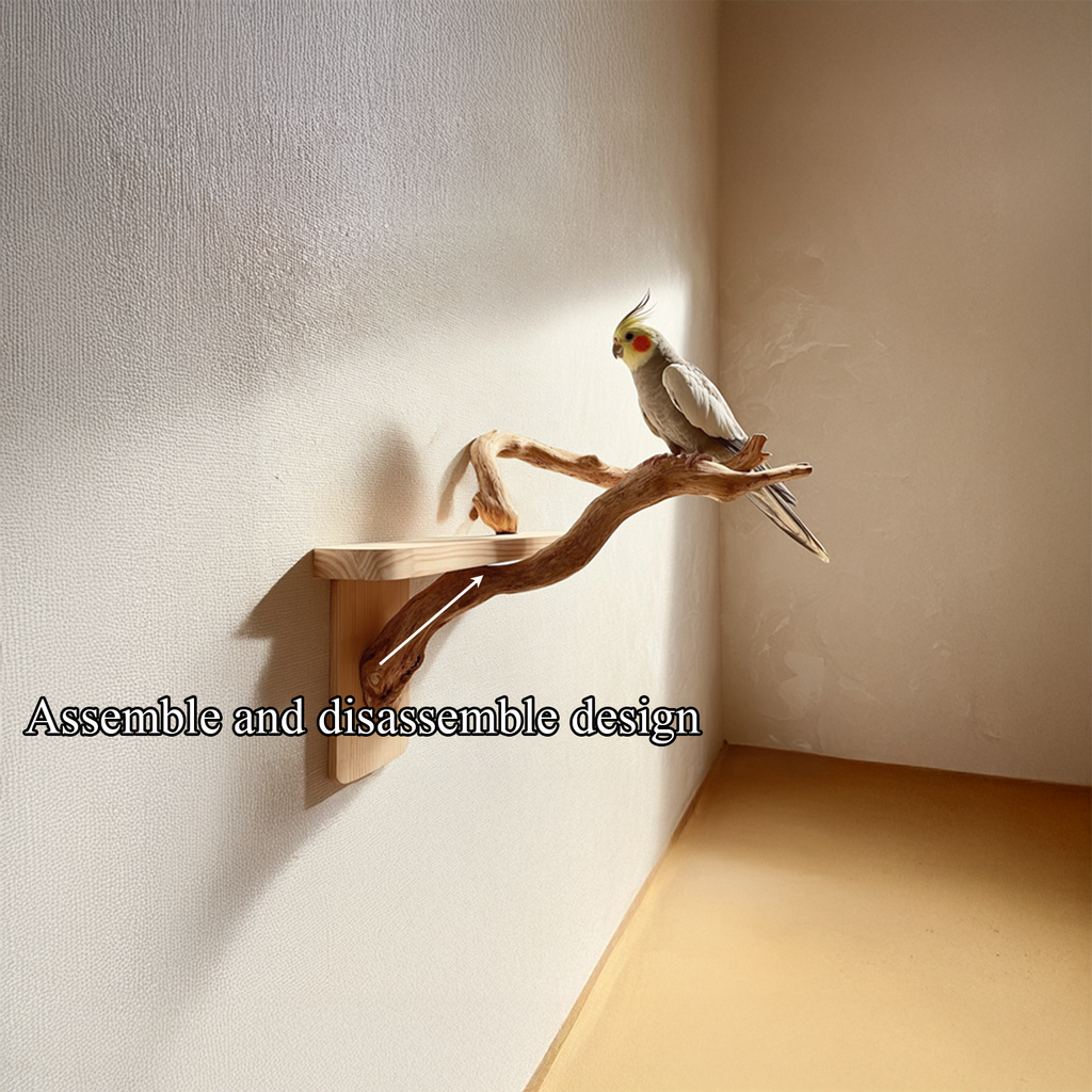 Organic Modern Wall Mounted Bird Perch For Home